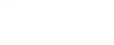 thynk apb logo